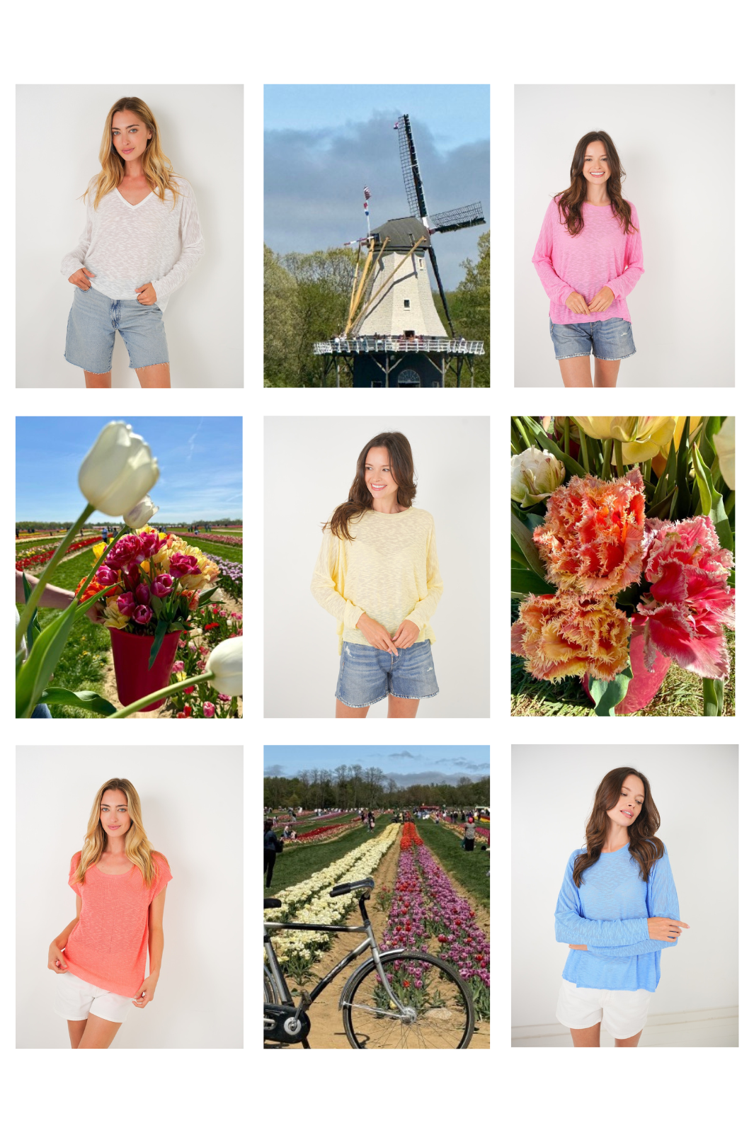 Collection Image
